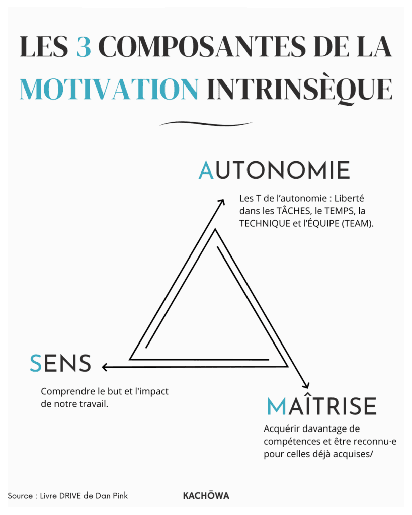 
Les 3 leviers de la motivation intrinsèque : Autonomie - Maîtrise - Sens