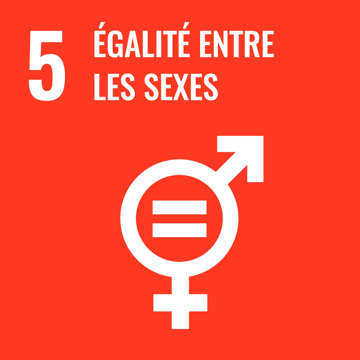 SDG 05 - Égalité entre les sexes