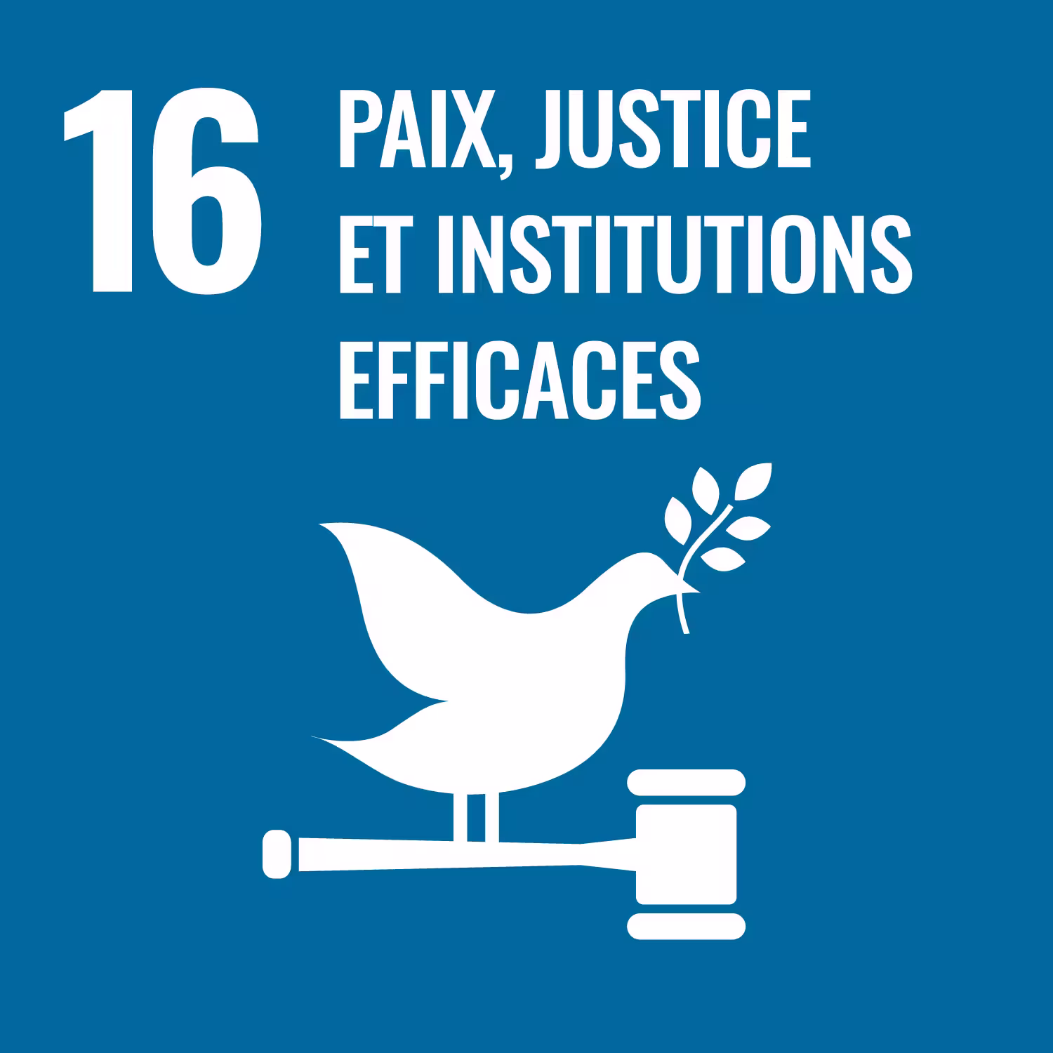 SDG 16 - Paix, Justice et Institutions efficaces