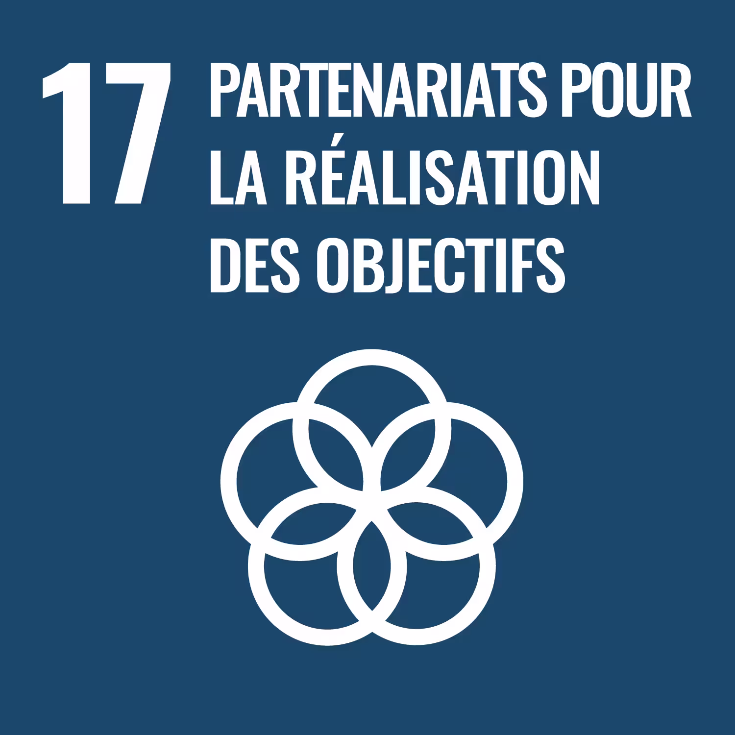SDG 17 - Partenariats pour la réalisation d'objectifs