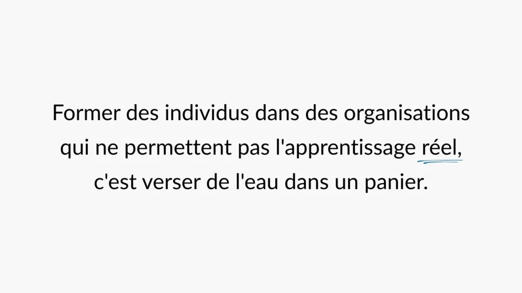 former-des-individus-dans-des-organisation